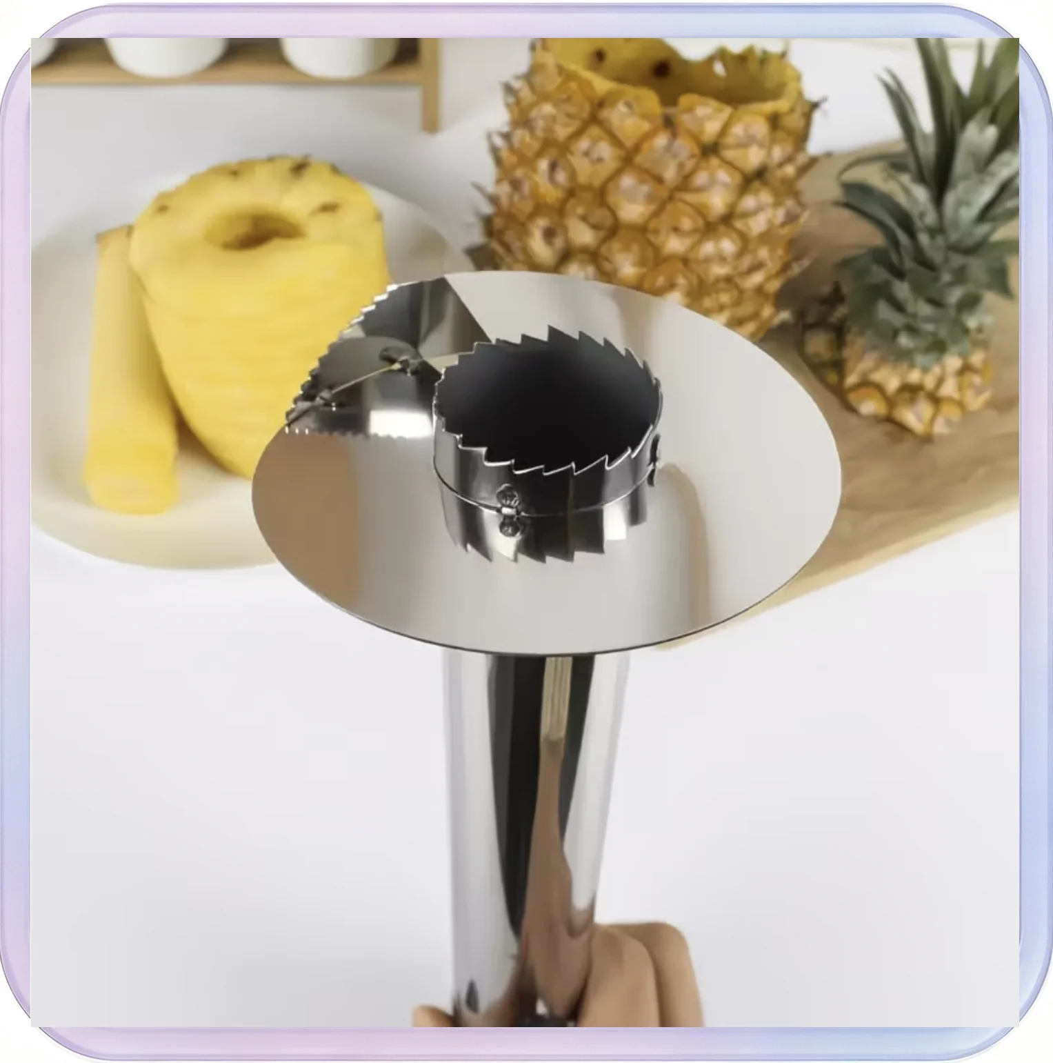 No_619_Round Head Black Handle Black Buckle Stainless Steel Peeler (Bagged)